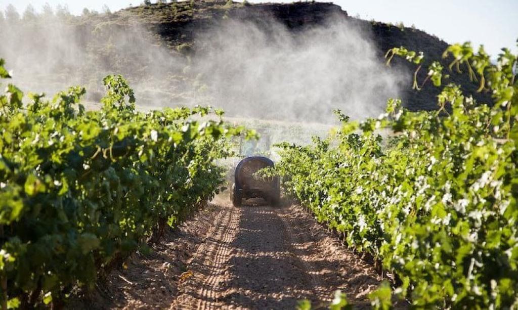 SA takes first step toward modernised pesticide governance