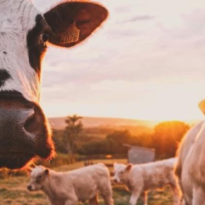 Agri Tech Conference: AI and technology take center stage