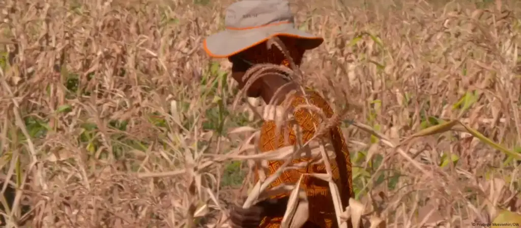 UN warns of rising hunger across Africa