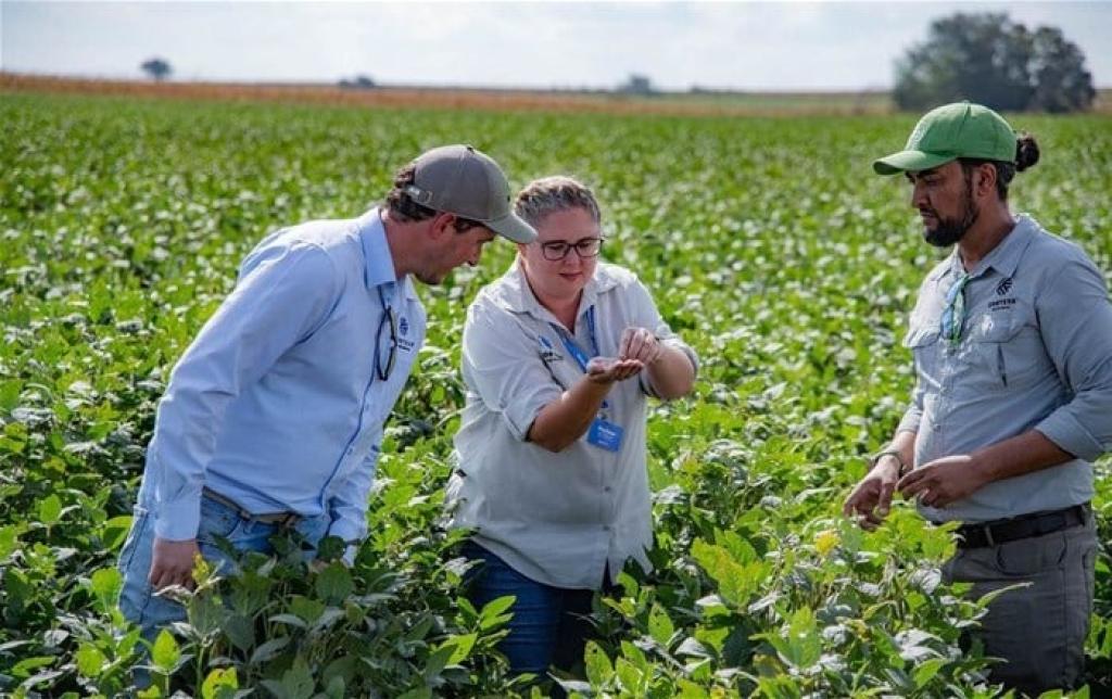 Precision breeding powers climate resilience in SA