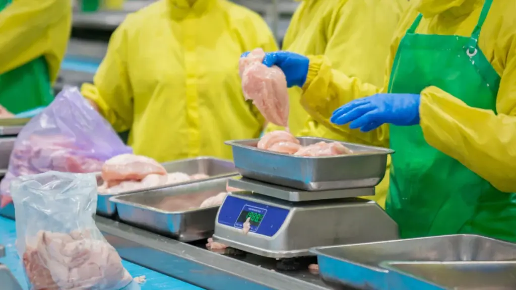 Warning over food shortages and job losses in South Africa