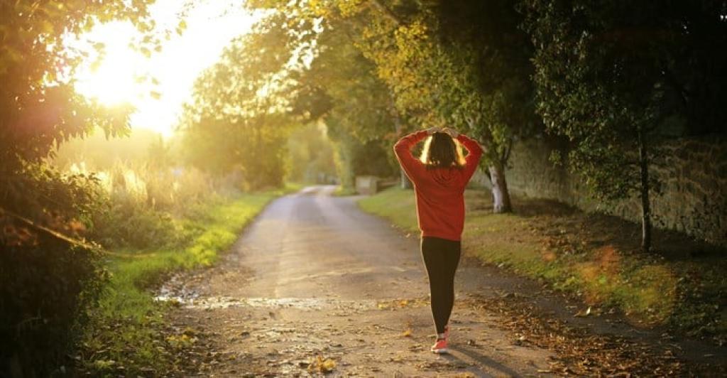 Cultivating a culture of wellness