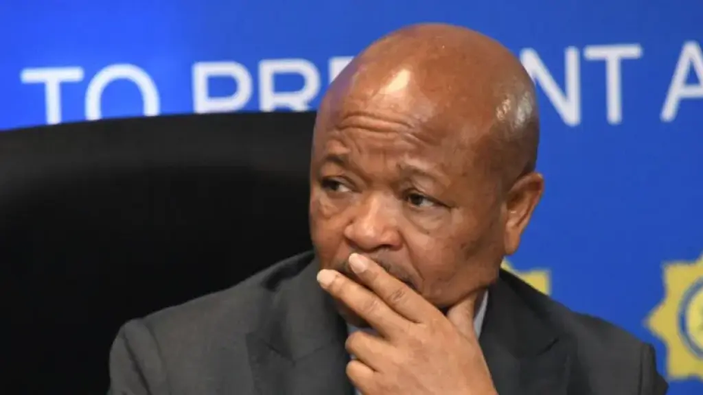 South African police minister suspended over organised crime allegations