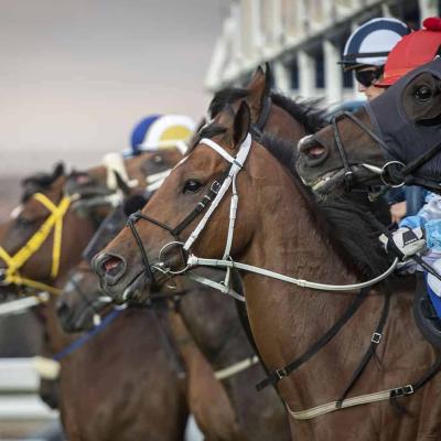 July day eyes on Pick 6’s R15m prize