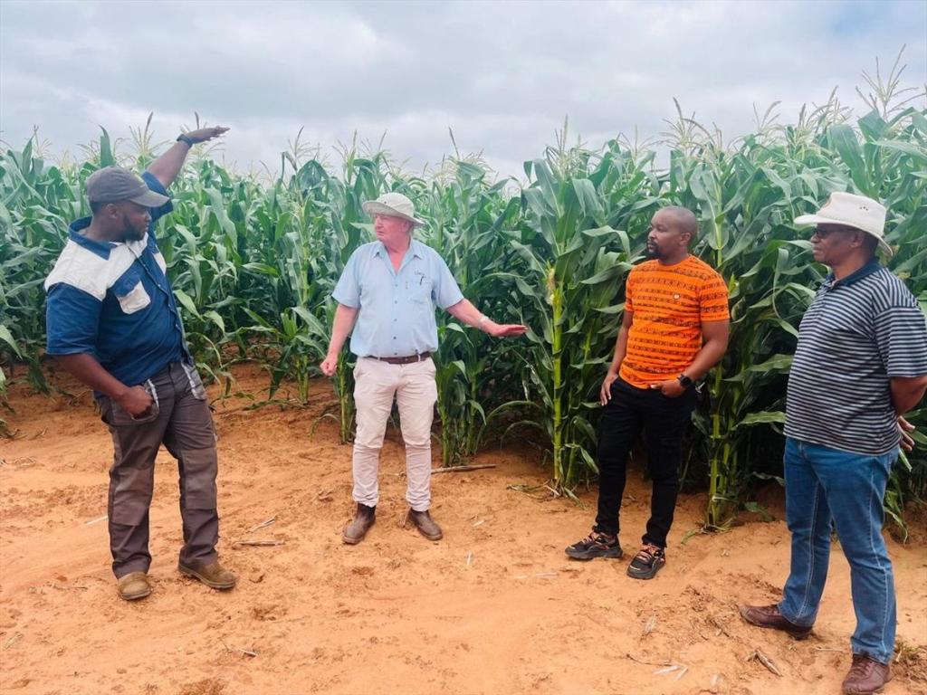 Eastern Cape blended finance scheme supports 30 agribusinesses