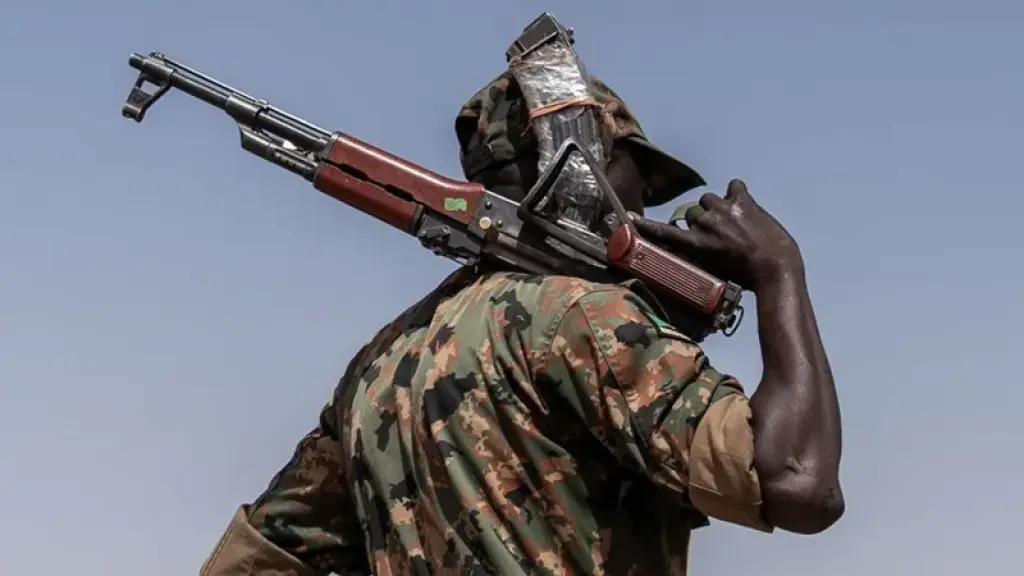 Oil-rich Sudanese region becomes new focus of war between army and rival forces