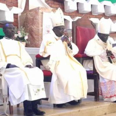 AFRICA/SOUTH AFRICA - Gaza: Southern African bishops reaffirm support for South African government's genocide complaint