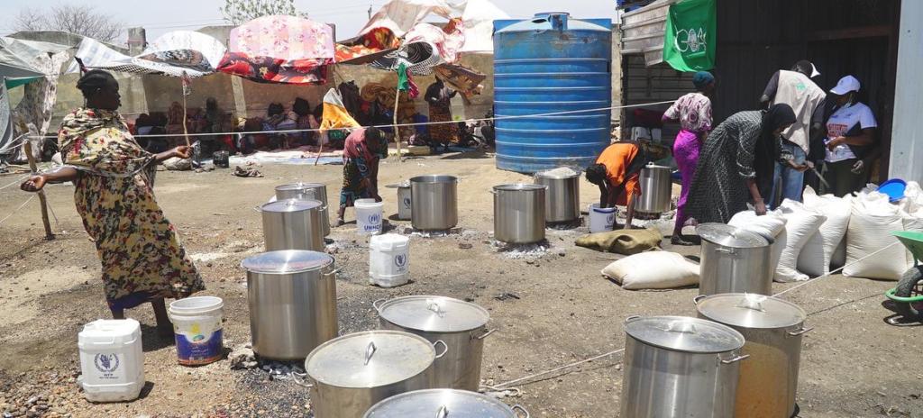 RSF storms cattle market and prison in 'death trap' Sudanese city