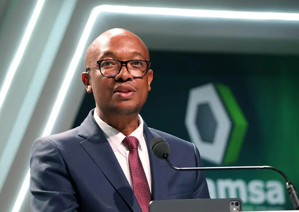 Government launching new online stores for South African products