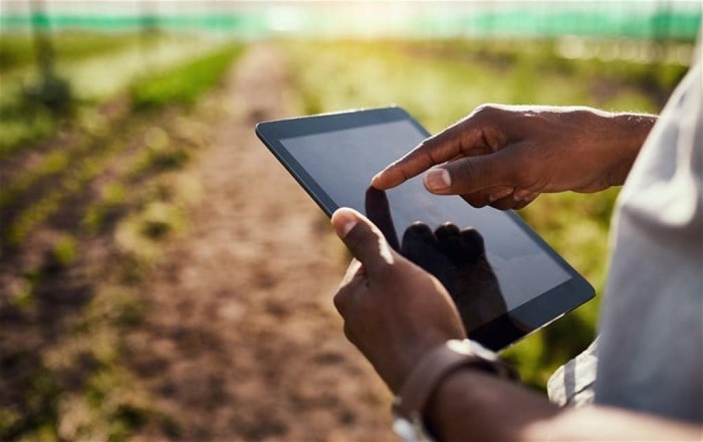 From tractor tweets to crop status updates: How AI is cultivating the future of farming