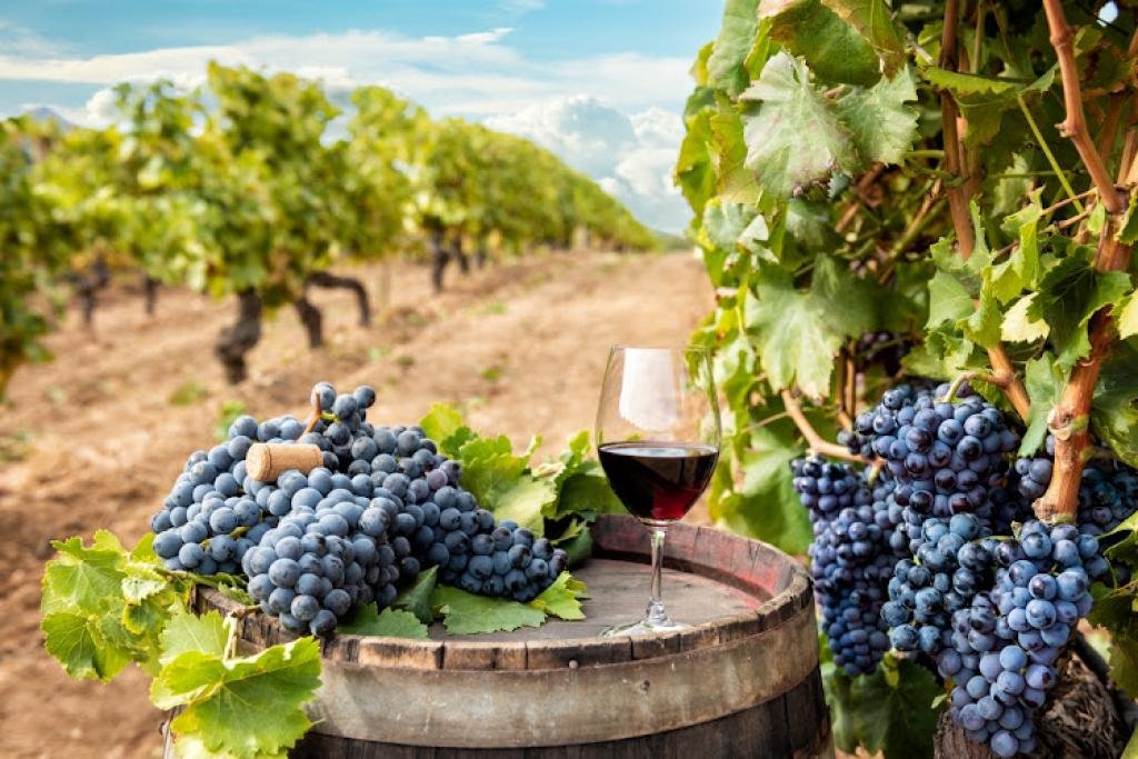 Winemaker Koketso Motaung toasts to inaugural wine festival in Klerksdorp