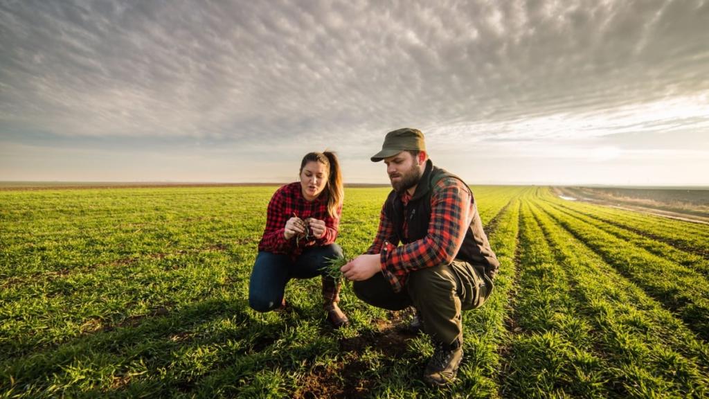 Young South Africans are choosing a lucrative new career to work overseas